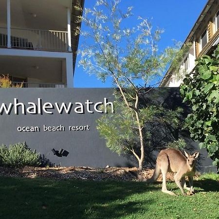 Whale Watch Ocean Beach Resort Пойнт-Лукаут Экстерьер фото